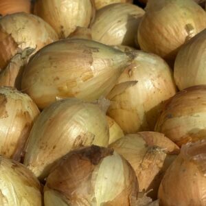 vege-003-onion-1kg-small